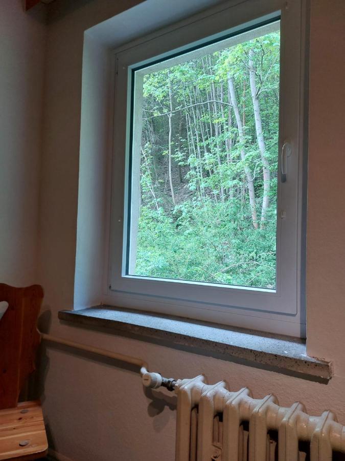 Pension Sternschnuppe, Treseburg Harz, Unmittelbar Am Wasser Thale Kültér fotó
