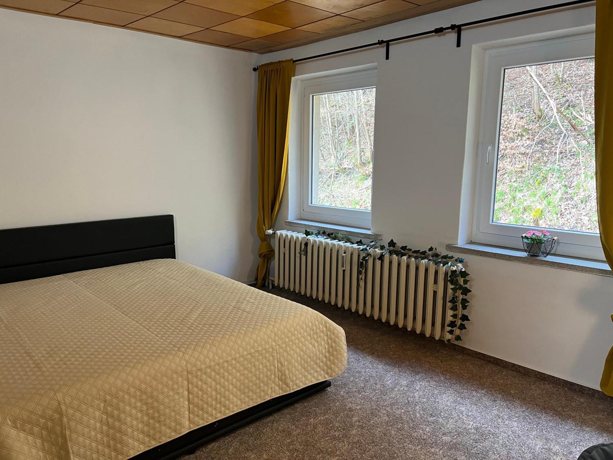 Pension Sternschnuppe, Treseburg Harz, Unmittelbar Am Wasser Thale Kültér fotó
