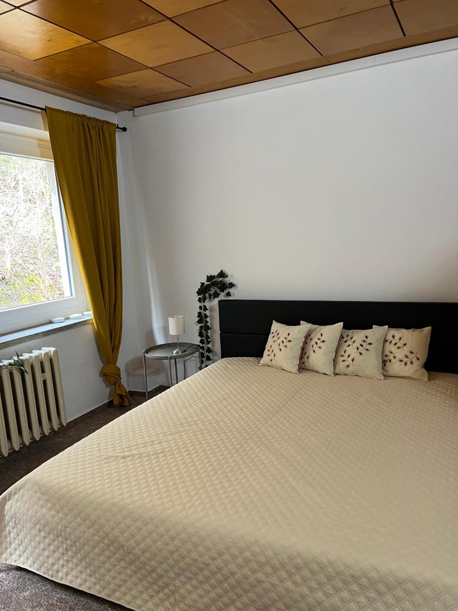 Pension Sternschnuppe, Treseburg Harz, Unmittelbar Am Wasser Thale Kültér fotó